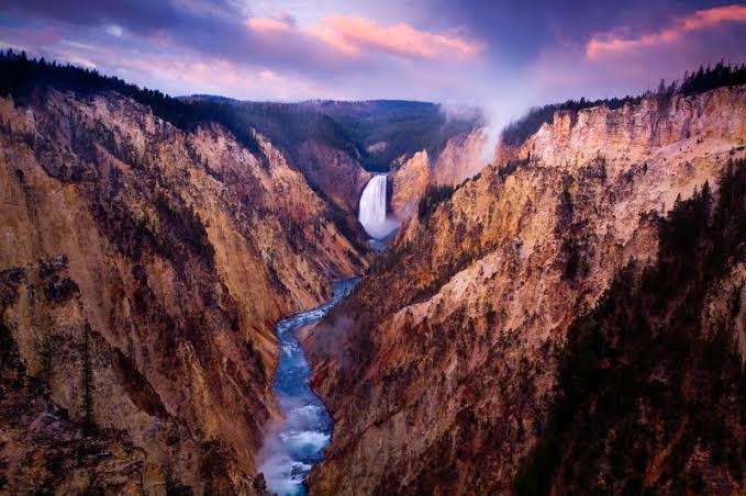 an image of yellowstone